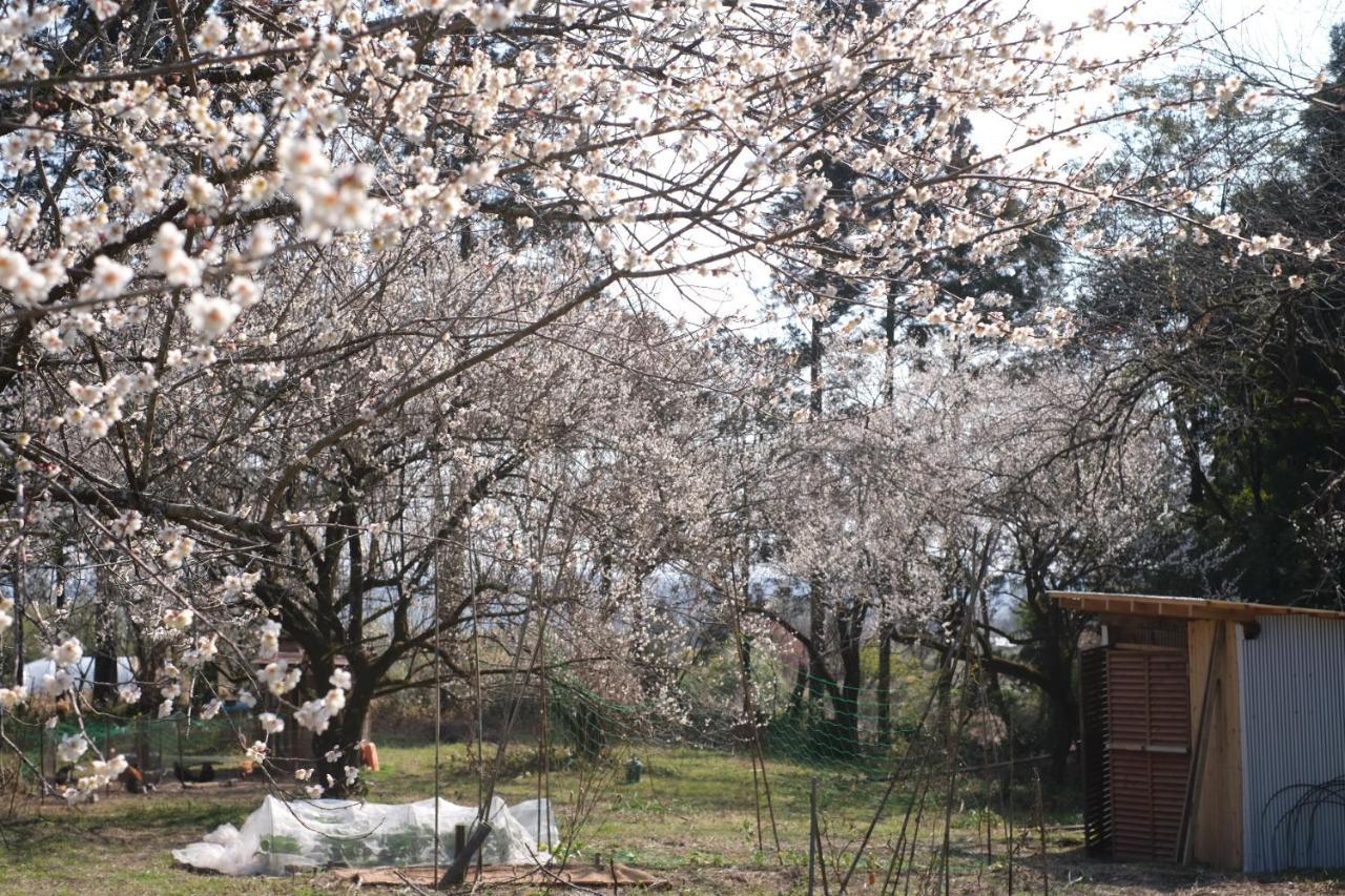 Homestay まるしっぽ邸free Sup Board,national Park,bbq,onsen,hammock,home Theater Takaharu