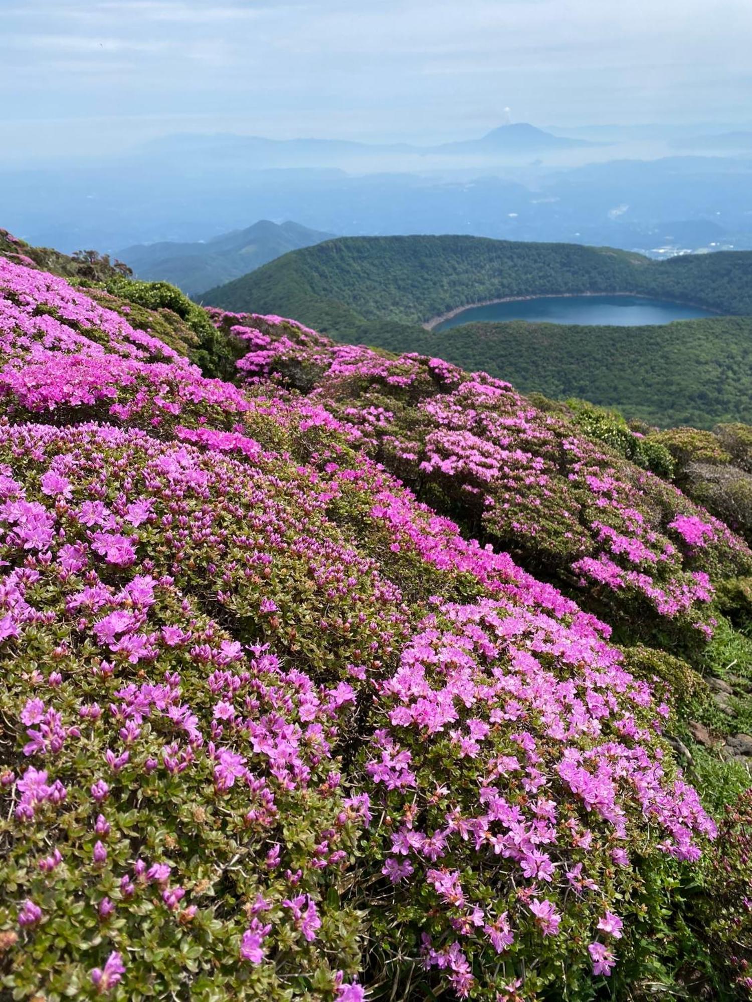 Homestay まるしっぽ邸free Sup Board,national Park,bbq,onsen,hammock,home Theater Takaharu